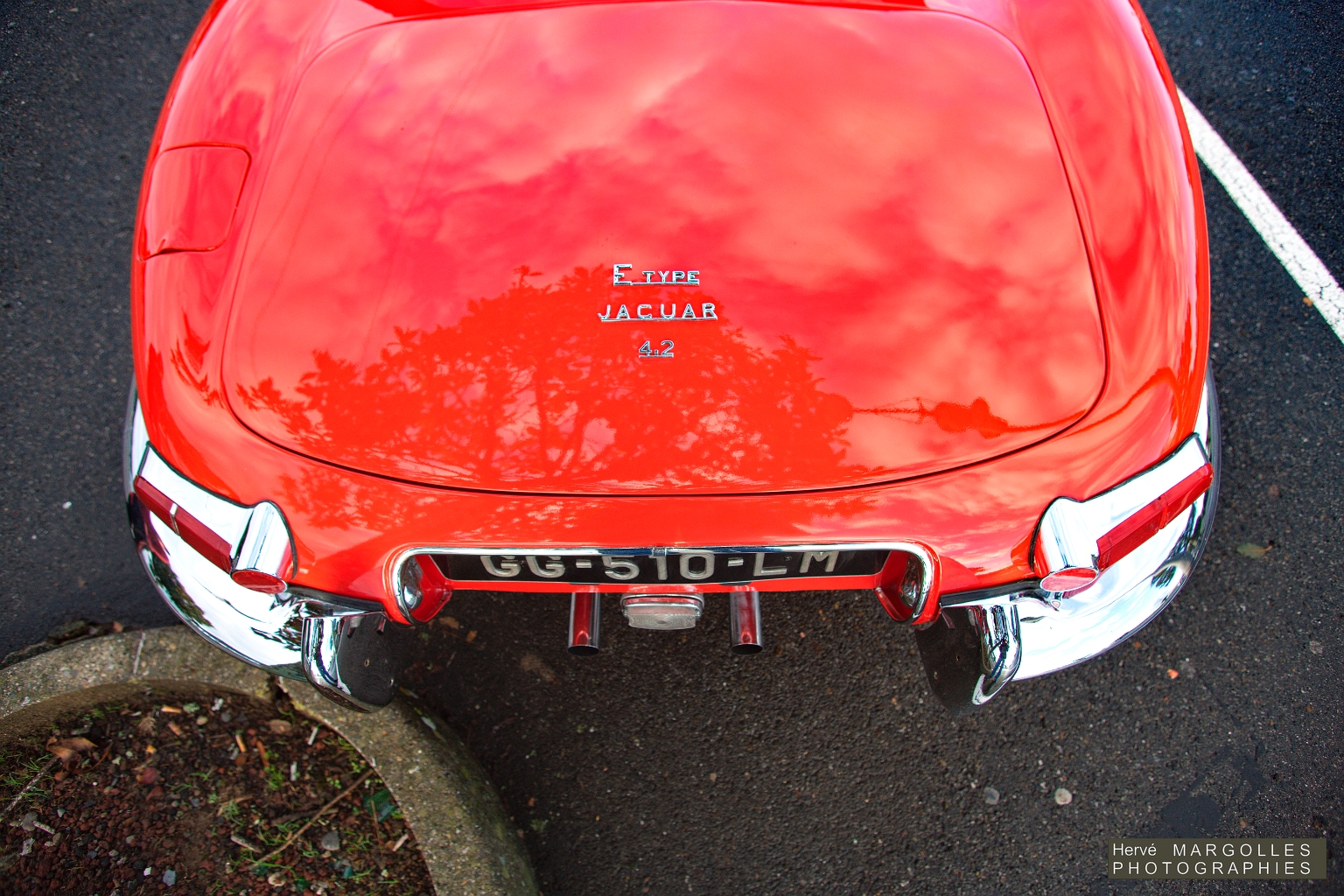 Jaguar Type E_01.jpg